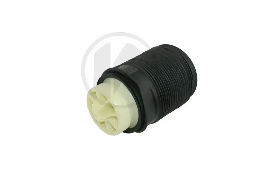 AIR SPRING - REAR LEFT (Repl. A2123200725)